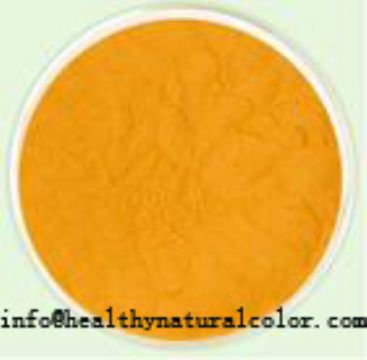 Turmeric Colour